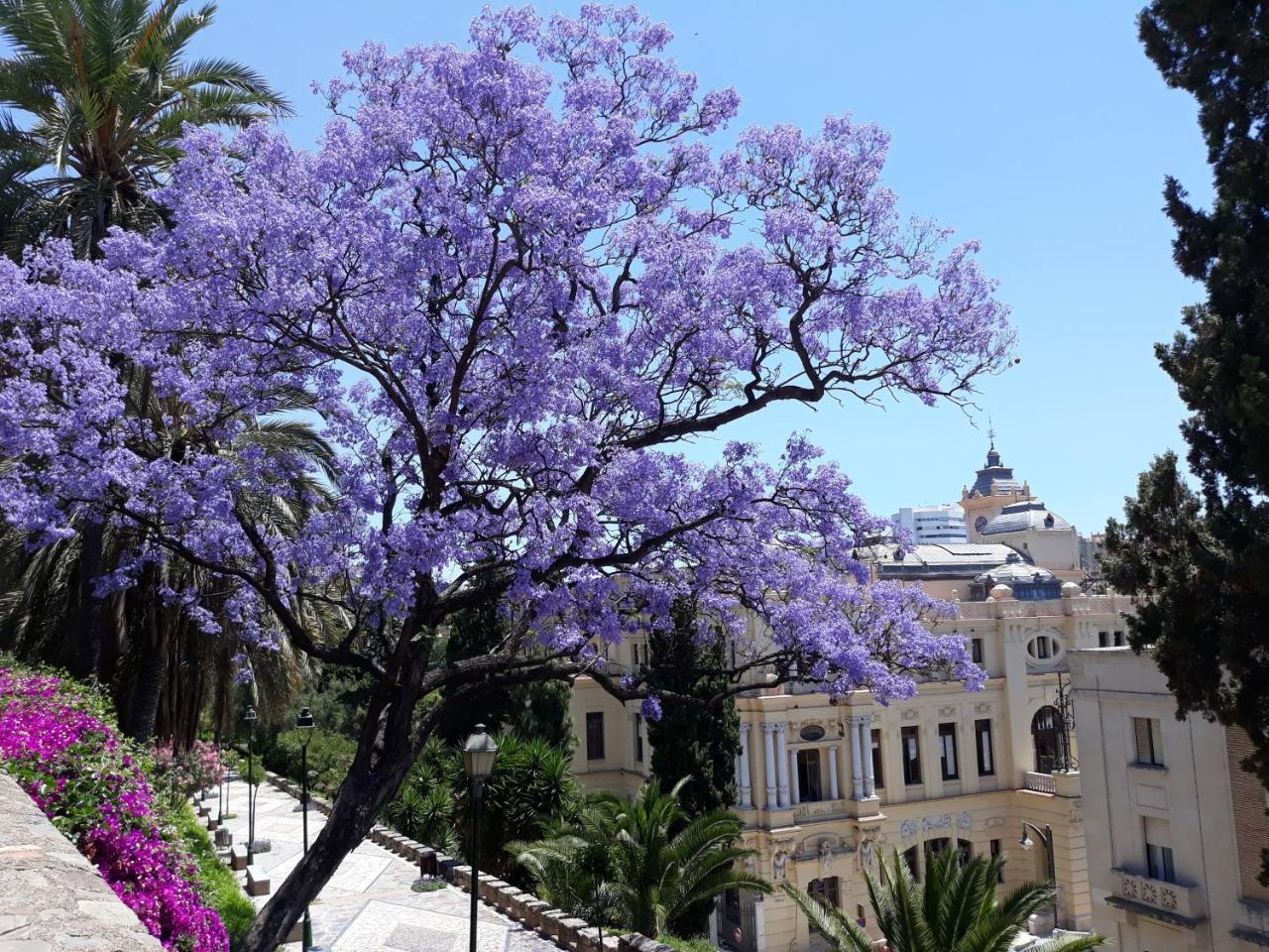 Stay Home & Away In The Heart Of Historical Town Of Málaga Esterno foto